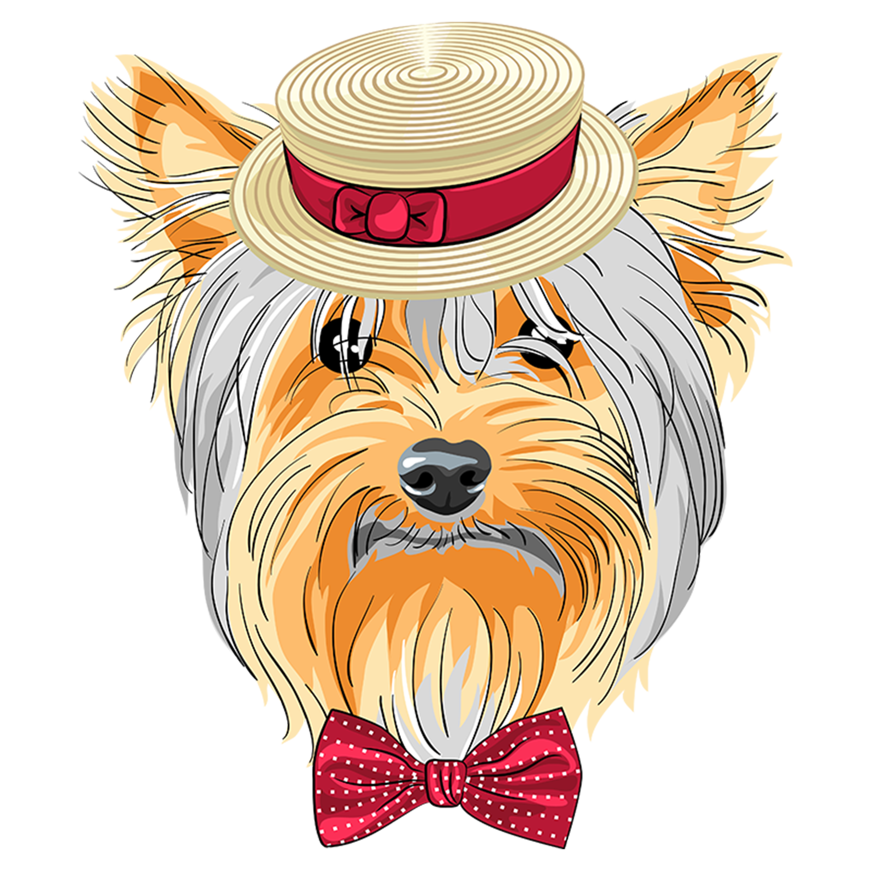 Dog hat